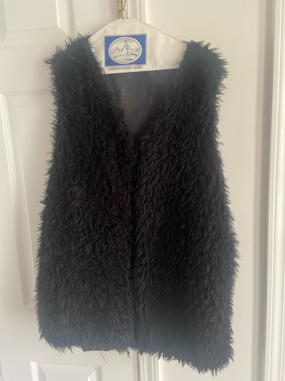 Source Unknown Black Faux Fur Vest